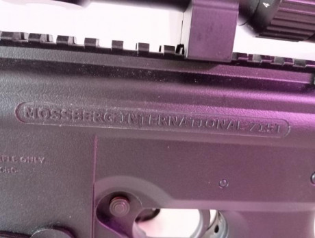 Por proyecto nuevo vendo Mosberg 715 calibre 22, con visor avistar, láser, linterna, trípode y 2 cargadores.
Tiene 02