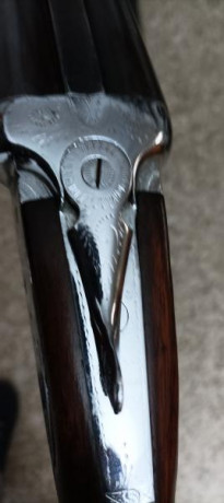 Vendo escopeta palalela con su funda bien cuidada precio 100+ gastos de envío o la cambiaría por una carabina 02