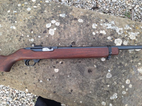 Cambio carabina ruger , semiautomatica, calibre 44 mag, por rifle de palanca , de mi interes, del mismo 32