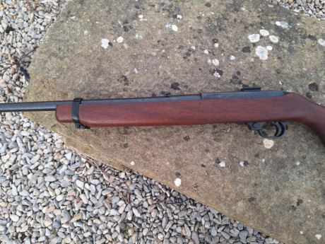 Cambio carabina ruger , semiautomatica, calibre 44 mag, por rifle de palanca , de mi interes, del mismo 31
