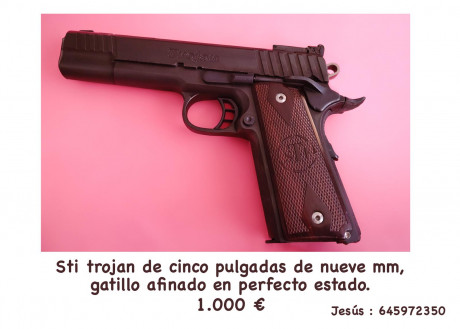 Hola pongo a la venta una pistola STI Trojan de 5 pulgada en 9mm.
  El arma está en muy buen estado, ha 00