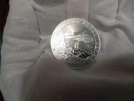 Vendo 30 monedas de plata pura bullion de 2019. Entrega en mano en Burgos o Valladolid. Valoradas a 796 00