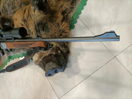 Se cambia extraordinaria arma muy poco usada y en un estado de reestreno. Incorpora como extras monturas 12