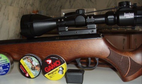 Acabo de comprar una Cometa Fenix 400 compac star en 5,5. Pero me surge una duda. Que montura la pongo?. 110