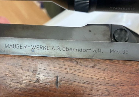 Hola a todos un amigo me ha pedido que le publique el anuncio 
Venta de rifle 7mmreg mag  
Un mauser werke 11