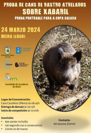 Con perros de rastreo, en Marzo 00