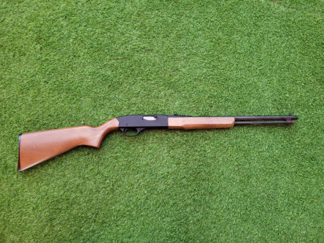 Vendo y no regateo por no darle uso winchester model 190 calibre 22 rl

SUPER PRECIO 90 EUROS MAS PORTES 00