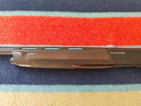 Vendo mi repetidora Winchester SX3. Tiene mecanismo de gases Browning, muy fiable. Dispara cartuchos de 11