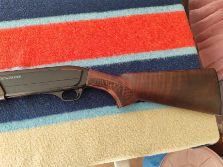 Vendo mi repetidora Winchester SX3. Tiene mecanismo de gases Browning, muy fiable. Dispara cartuchos de 10