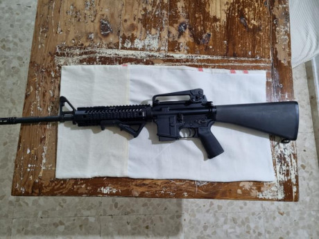 Se vende Sabre defence xr15 calibre 222Rem  con dos cargadores  va perfecto y bien cuidado el arma se 11