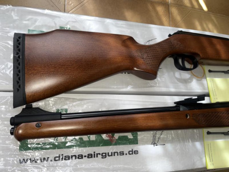 Vendo Diana 430 Stutzen en calibre 5,5
Heredera de la Diana 46 stutzen a la que sustituyó ya no se fabrica, 80