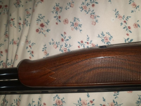 RETIRADA DE LA VENTA ..BORRAR 01