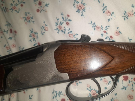 RETIRADA DE LA VENTA ..BORRAR 21