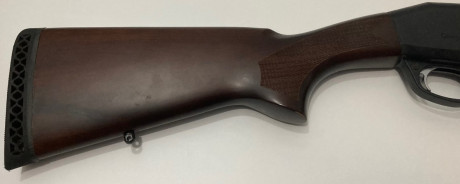 Hola, vendo una escopeta semiautomática de la marca STOEGER, M3020 calibre 20/76, cañón 71 cm.
Viene con 01