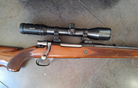 Hola, vendo Santa Barbara calibre 300 Win por no usar. El arma esta en Madrid, esta en buen estado, la 01