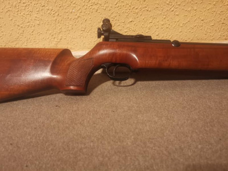 Vendo ( por no utilizar) carabina DIANA mod 60 en muy buen estado de conservación, Todo un clásico de 02