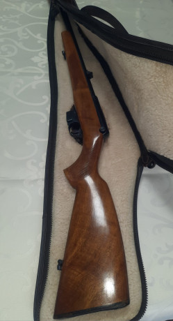 Se vende:
- Carabina CZ BRNO 511 .22LR
- Funda Artesana de piel y forro de lana

Precio: 350€ (más envío 01