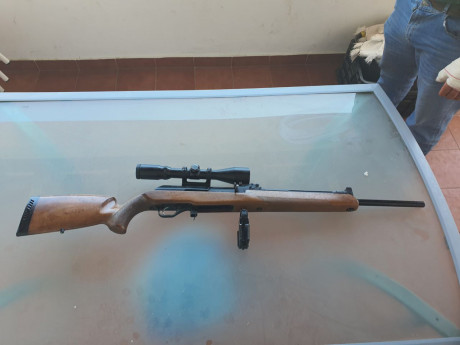 VENDIDO
Vendo Rifle 30-06 semiautomatico marca Molot,  con óptica Tasco Sport 1,5-6x42. El rifle tiene 01