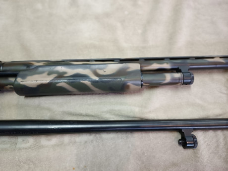 Bajada de precio.
Hola, vendo Mossberg 500A, con dos cañones.
Uno para bala, (liso) y el otro para caza 12