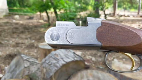 Buenas a todos.

Por cese de afición,  vendo superpuesta calibre 20.

La escopeta es una Beretta 686 Silver 10