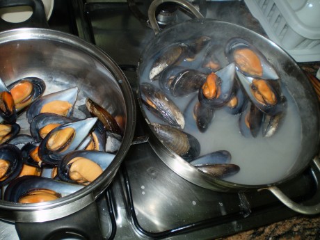 Queridos amigos: ante las expectación :8 causada por el desayuno que me he pegado esta mañana, el cual 140