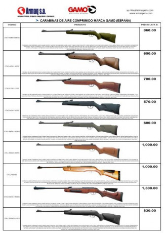 Hola, recibí un rifle de aire comprimido de la marca Gamo por regalo, necesito saber cual es su modelo 10