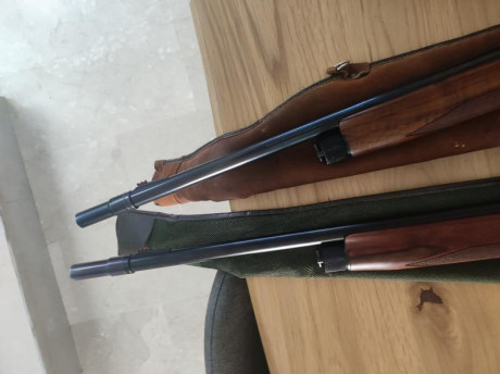 Vendo dos Benelli una 121 sin banda con cañón de 60 y choques exteriores .
125 superligera sin banda cañón 00