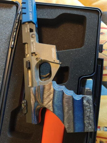 Vendo Walther GSP expert:
año 2021, nueva, se vende con dos carros 22lr y 32. maletín original. Está nueva.
rebajada 02