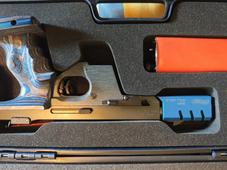 Vendo Walther GSP expert:
año 2021, nueva, se vende con dos carros 22lr y 32. maletín original. Está nueva.
rebajada 01
