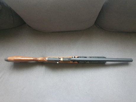 VENDIDA.

Vendo carabina Cometa Lynx V10 F300B. Nueva, un par de meses de uso. Calibre 5.5, regulada de 62