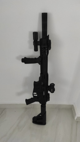 Escopeta semiautomática Hatsan DF12 de 12g estilo AR15. El estado de esta arma es como nueva. 

Funciona 00
