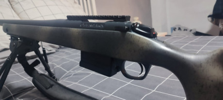 En venta,Bergara B14 Wilderness Terrain,en Calibre 308 con muy poco uso.Esta en Madrid.Incluye correa,funda 40