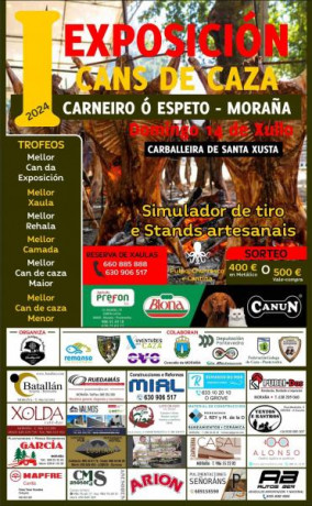 13 de Abril, Ferrol 41