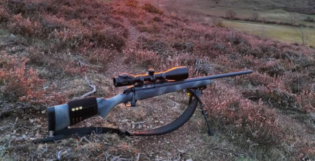 Hola
VENDO BERGARA WILDERNESS HUNTER
6,5 creedmor
tiene dos años, impoluto, solo dos temporadas de corzo
rifle 01