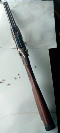 Se vende rifle Express Pedersoli en calibre 45/70.
El arma se encuentra en Gerona. 
Para los interesados 01