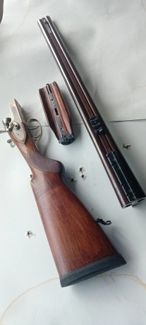 Se vende rifle Express Pedersoli en calibre 45/70.
El arma se encuentra en Gerona. 
Para los interesados 11