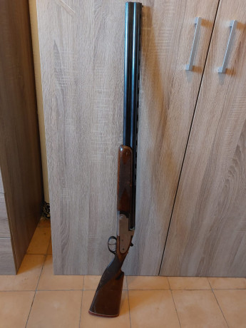 Hola os escribo para saber si me podéis ayudar para averiguar el modelo de esta escopeta Félix Sarriugarte. 01