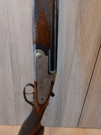 Hola os escribo para saber si me podéis ayudar para averiguar el modelo de esta escopeta Félix Sarriugarte. 00