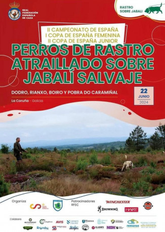 13 de Abril, Ferrol 80