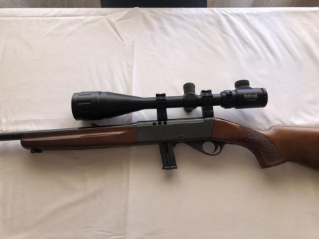 Vendo esta carabina, precio 300 euros. Está en Ciudad Real. En perfectas condiciones. 00