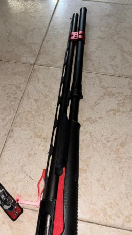 Benelli nova con muchas extras y muy poco uso, cañón de 66cm, añadido el tubo extensor +10, muelle del 01