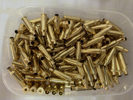 Hola, 

Dispondo de vainas de 1 solo disparo, 

MARCA: Lapua 
CANTIDAD: 500
ESTADO: Desempistonadas y 00