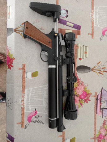 Bueno, para animar el foro un poco, propongo colgar fotos de dianas y arma usada para ello, pudiendo ser 20