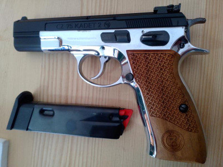 Hola amigos! ya que se muestran tantas armas buenas creo que a los propietarios de una cz 75 se nos tendría 161