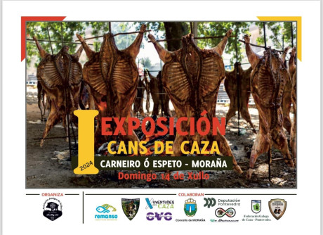 13 de Abril, Ferrol 50