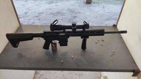Se vende S&W MP15 22 LR Sport. Tiene unos 3.000 disparos, se entrega con 2 cargadores de 25 y uno 01