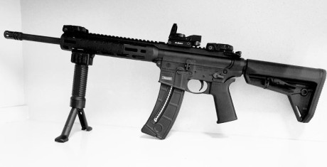 Se vende S&W MP15 22 LR Sport. Tiene unos 3.000 disparos, se entrega con 2 cargadores de 25 y uno 00