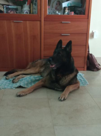 Seguramente sea una duda absurda de novato, pero tanta norma UNE, tanta seguridad al final depende de 60