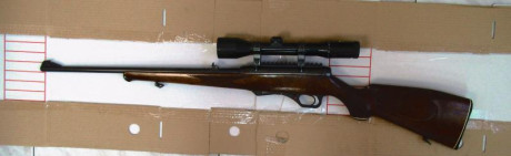 Pongo a la venta esta carabina HK modelo 300 en calibre .22 WMR cargado de 5.- 
El visor no va incluido.-
250 02