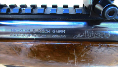 Pongo a la venta esta carabina HK modelo 300 en calibre .22 WMR cargado de 5.- 
El visor no va incluido.-
250 00